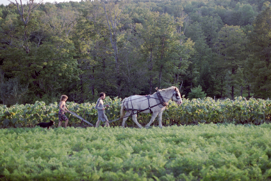 Sawyer Farm